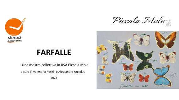 MOSTRA  "FARFALLE" ALLA RSA PICCOLA MOLE DI TORINO