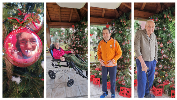 ANCHE A BARZIO C’È UN ALBERO DELLA VITA: SI TROVA ALLA RSA DI VIA CORSI, A CASA SANT’ANTONIO.
